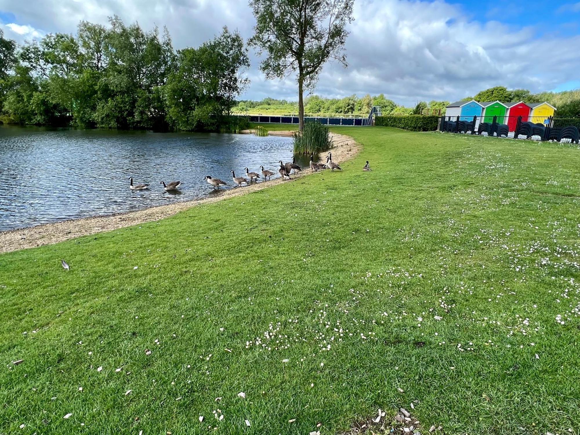 Bluebell Lodge, Dog Friendly South Cerney Exterior foto